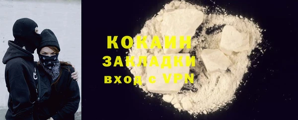 прущие грибы Ростов