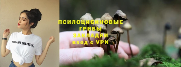 прущие грибы Ростов