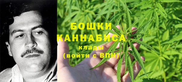 прущие грибы Ростов