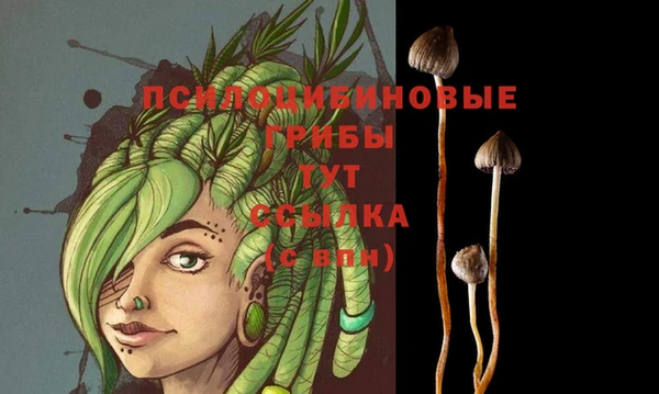 гашишное масло Россошь