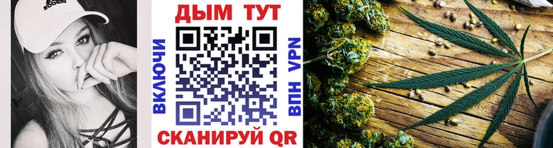Купить  Рязань  Бошки марихуана SATIVA & INDICA 